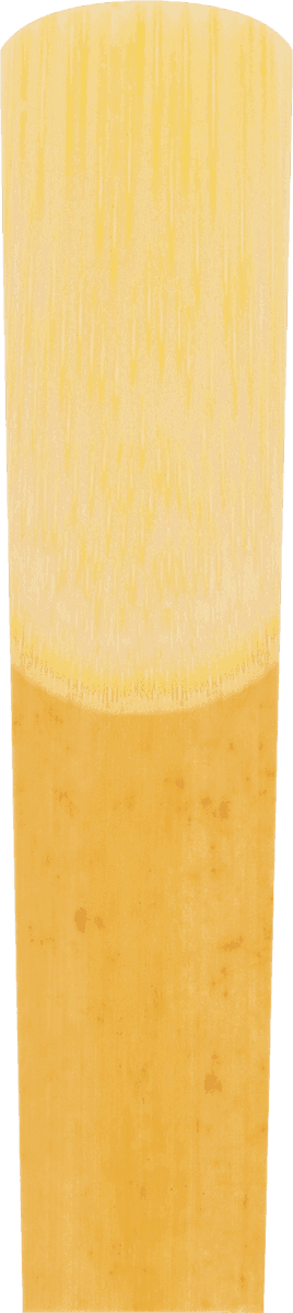 ALTO SAXOPHONE REEDS V21 3.5