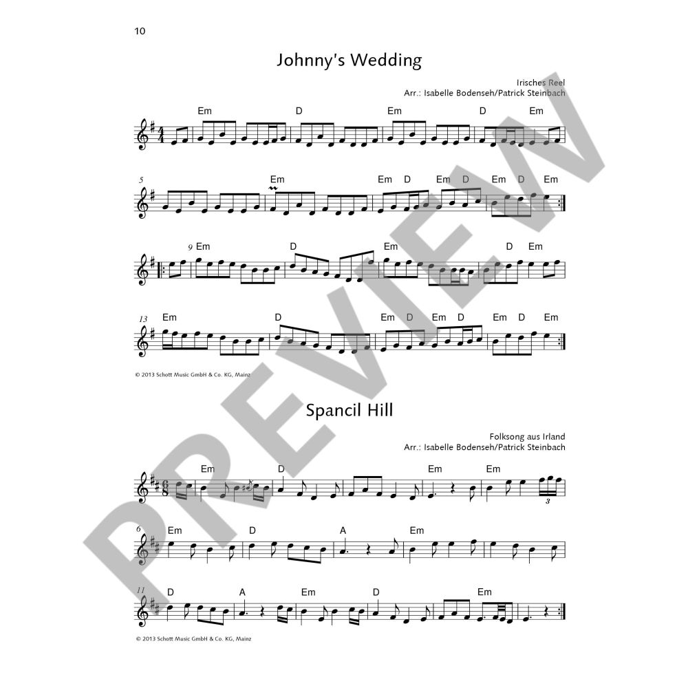 The Irish Flute Book