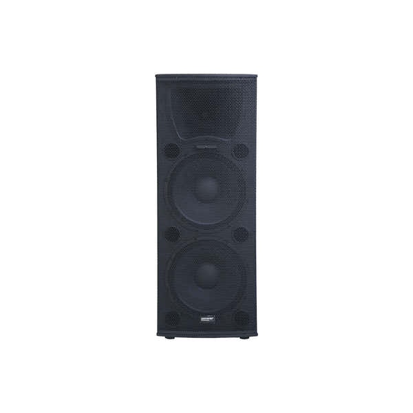 POWER ACOUSTICS SONORISATION Dys 215 V2