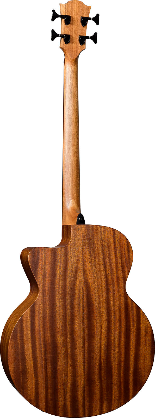 HyVibe 2 Series 10 Acoustic Bass CW