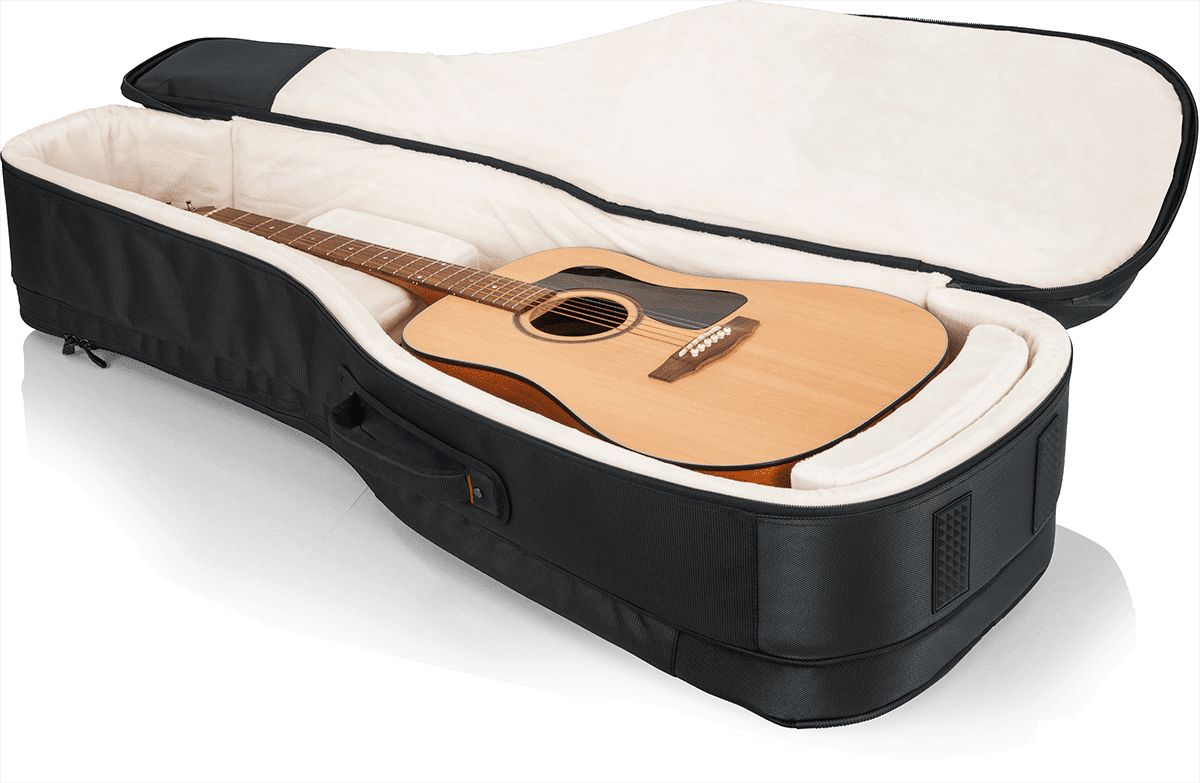 Electric + Folk Double Gigbag - ProGo