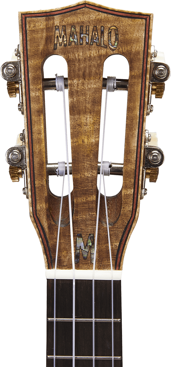 Mm2 + Gigbag