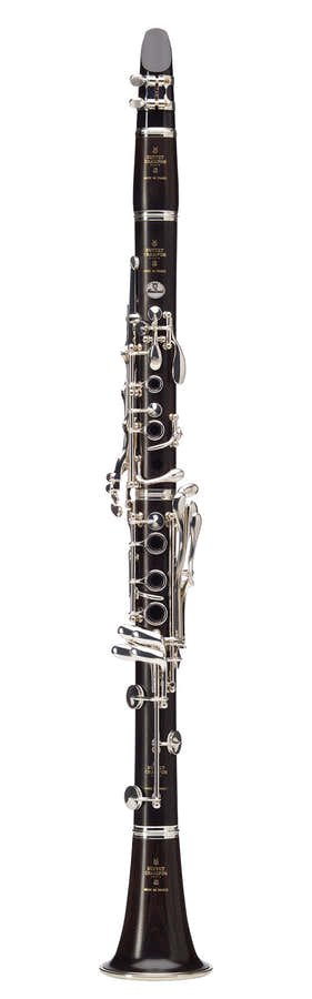 Festival Bb Green Line (18 Keys) - BC1139GL-2-0