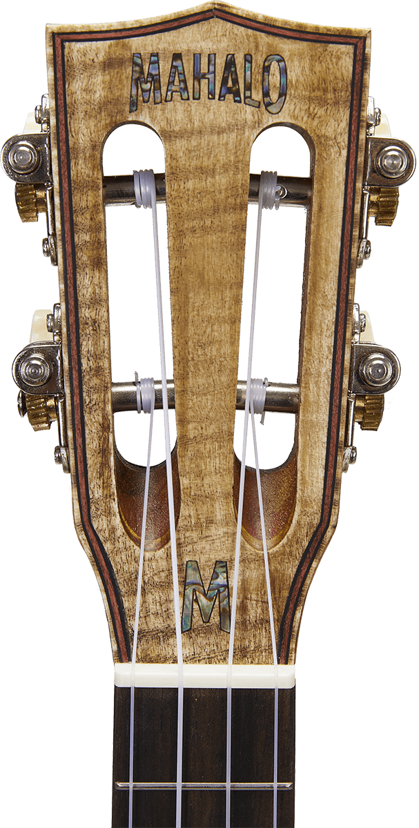 Concert Natural Electro + Gig Bag