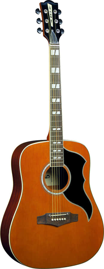 Ranger VI Vintage Reissue Dreadnought Natural Top Stained