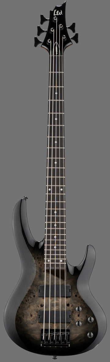 B-205DX Black Burst