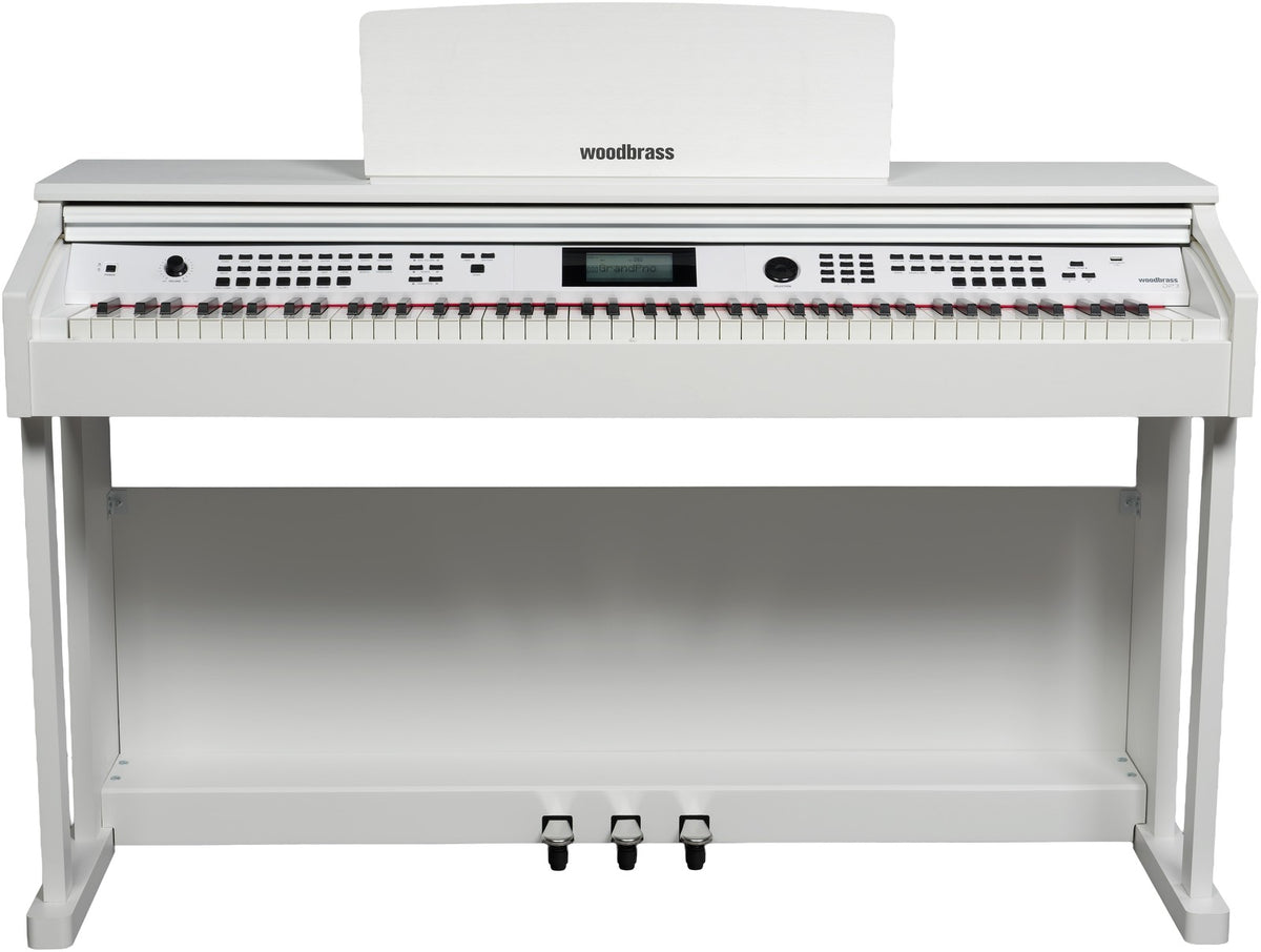 Pack DP3 White