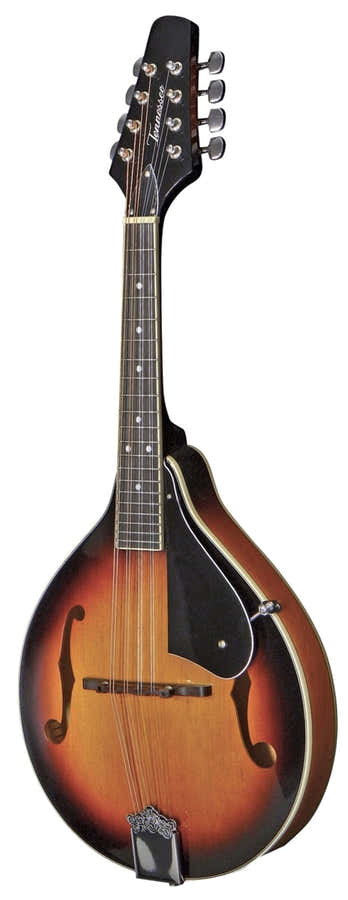 Mandolin A-1 Select Sunburst