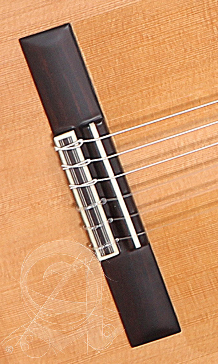 Conservatoire 5FP Op Piñana Flamenco + 9738 25mm Gigbag