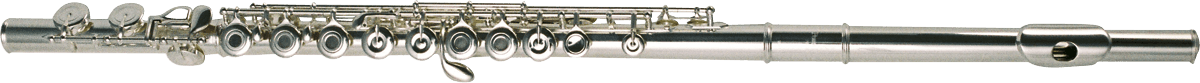 Pearl Flute DOLCE 695R