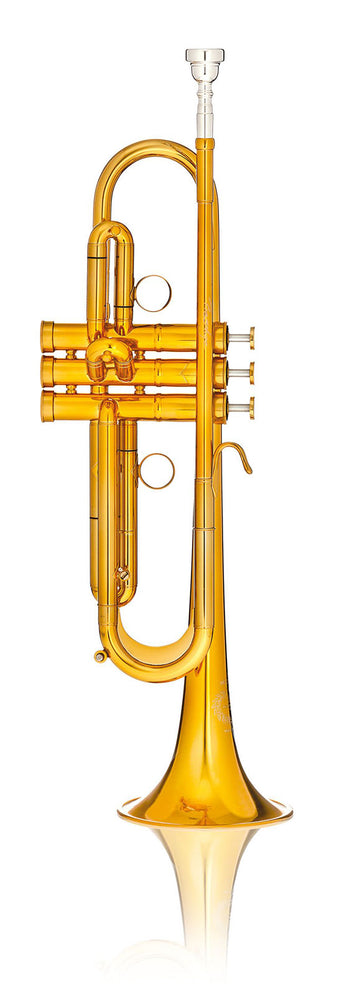 MBX2 Prestige Bb Gold Lacquered - BSMBX2LR-8-0D