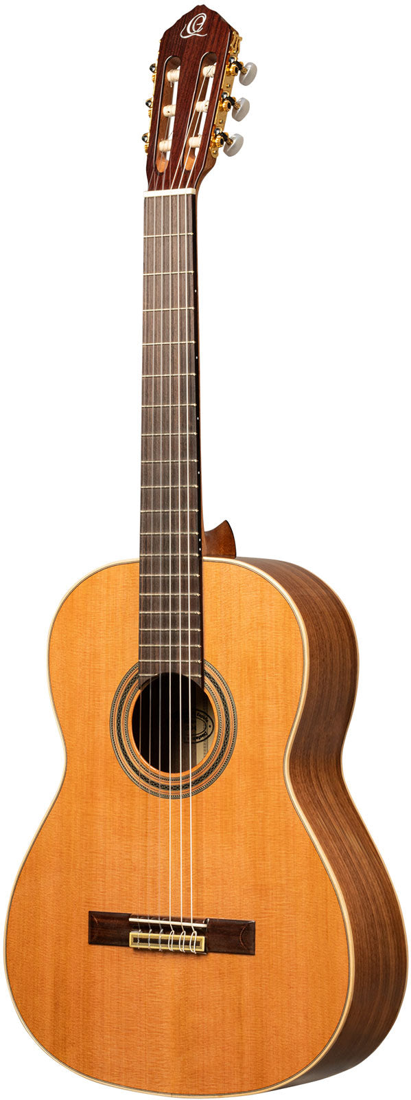 Traditional 4/4 6 LH + Pro Gig Bag