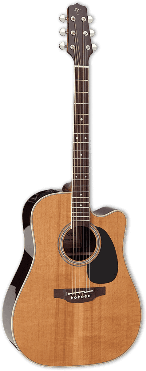 Japan Tt Dreadnought Cutaway Electro