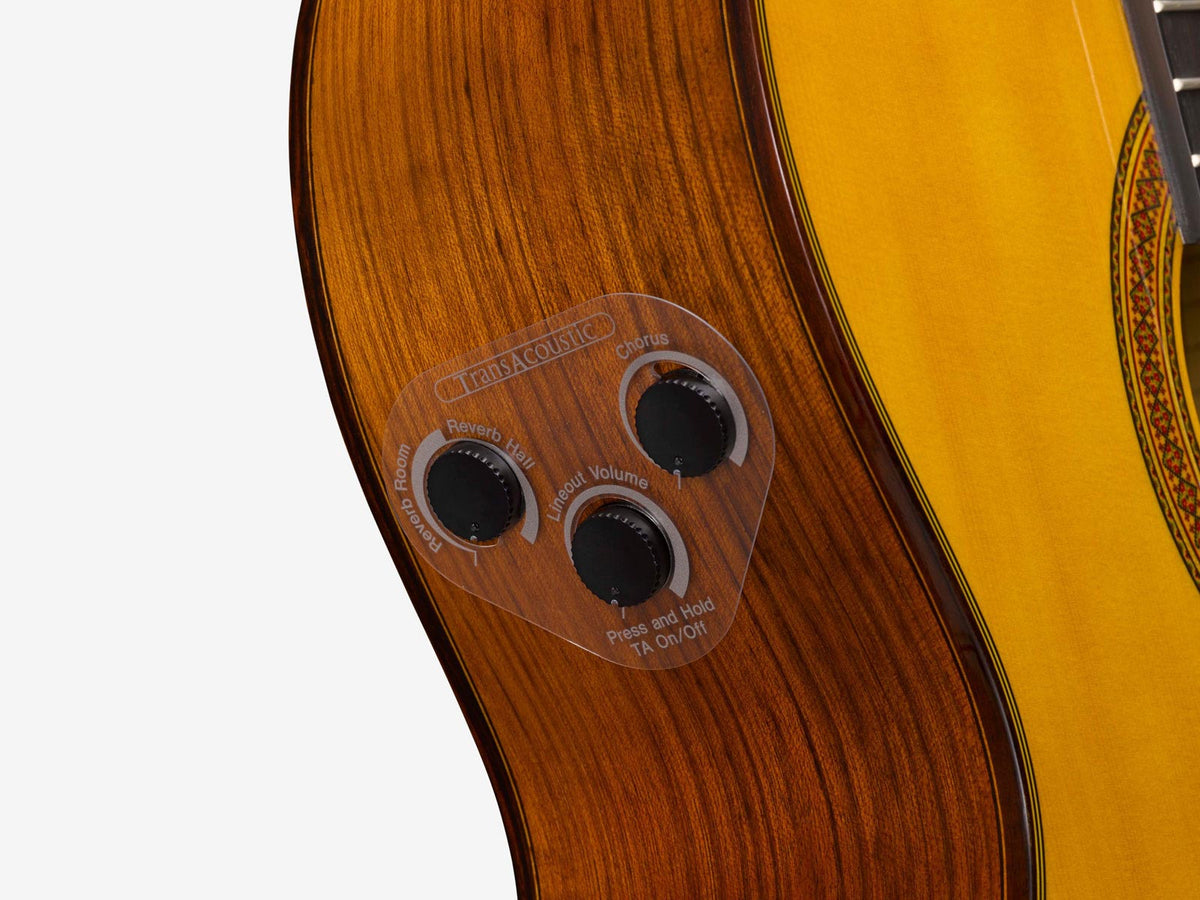 cg-ta transacoustic natural