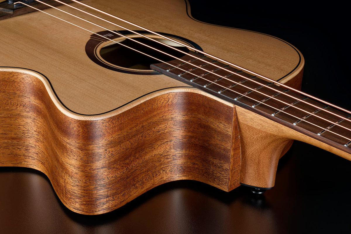 HyVibe 2 Series 10 Acoustic Bass CW