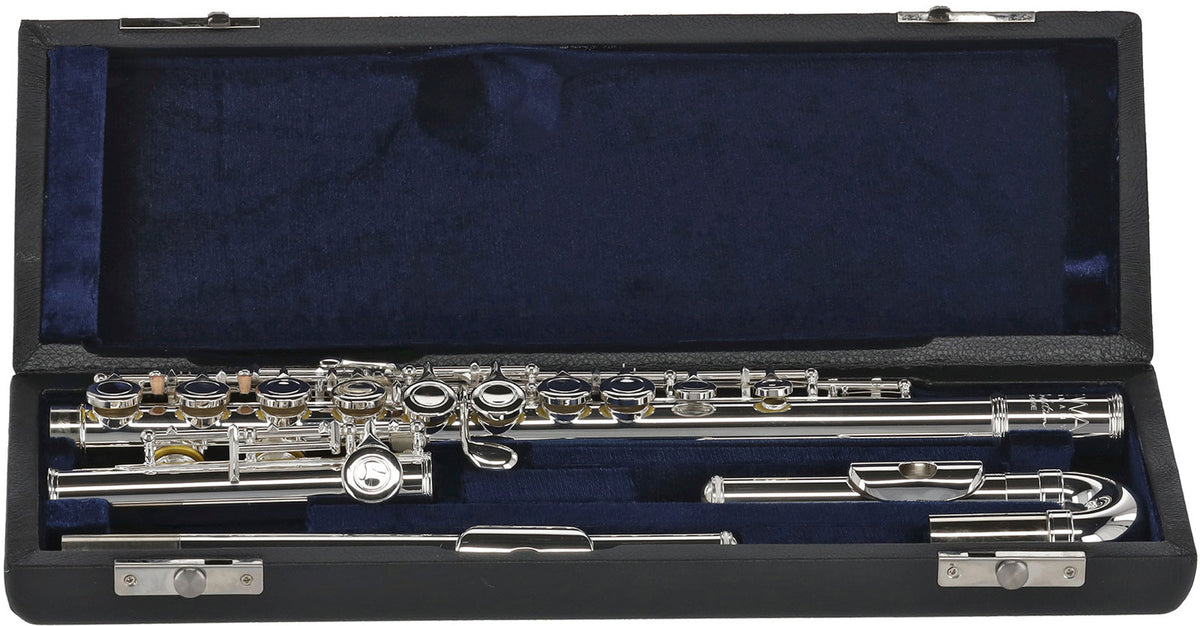 Ambition FL650E2 C + 2 Heads (Offset Closed Hole)