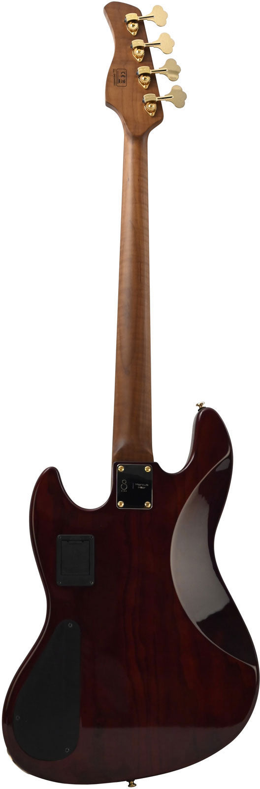 V10 DX Swamp Ash-4 FL TS MN + Case