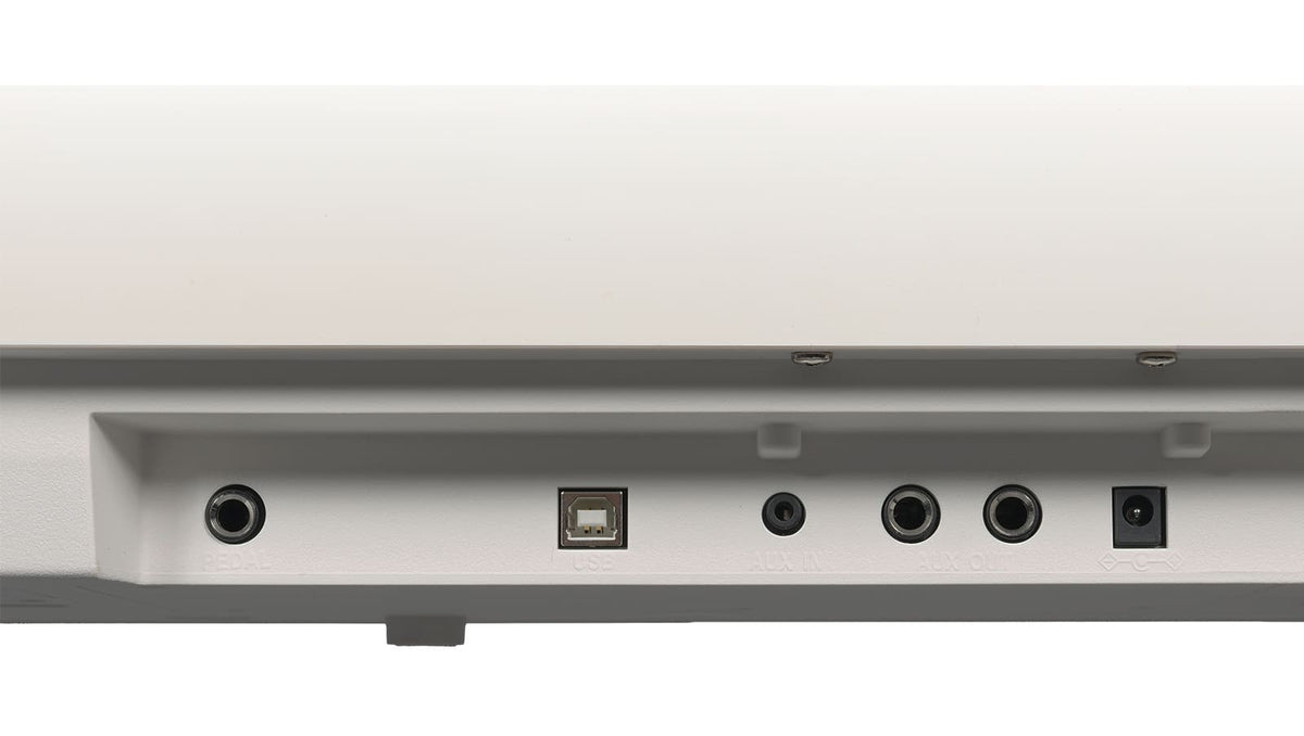 XP2 White Bundle with Stand