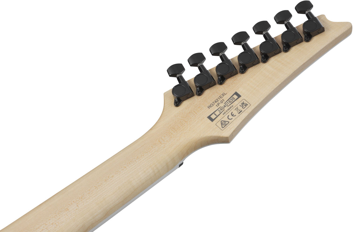 RG7421EXL-BKF Black Flat