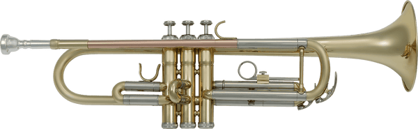 TP300 BB TRUMPET BRASS LACQUERED - ROSE BRASS LEADPIPE