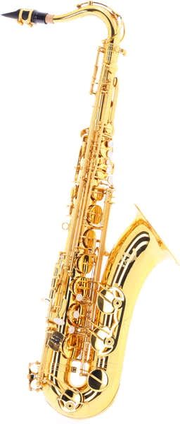 WST300 - Tenor Bb Varnished