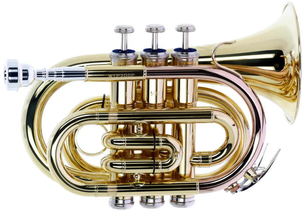 WTP200P - Bb Vernished