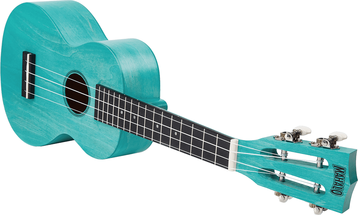 Island Concert Ukulele Aqua Blue + Cover