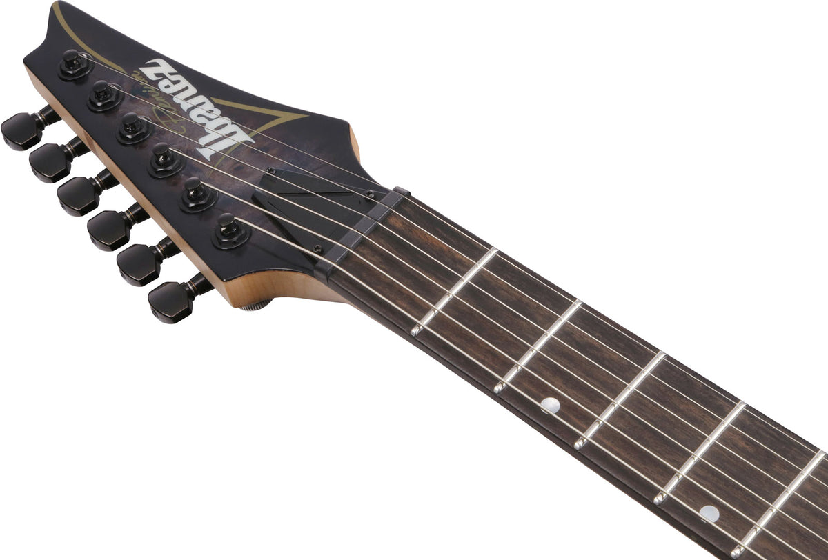 RGA21P1PBDRL Deep Twilight Burst Low Gloss Premium