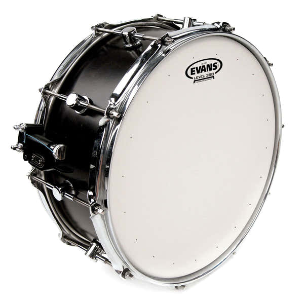 Evans B12HDD - HD Dry 12
