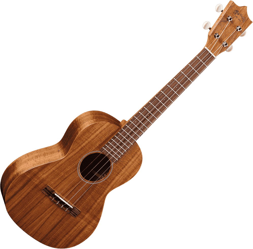 T1K Koa