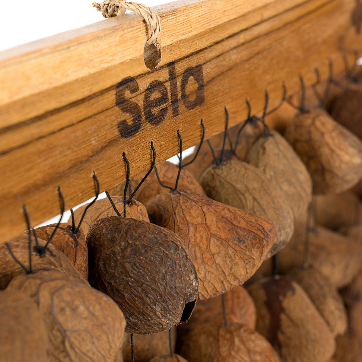 SESDC3 Seed Chime Pangi