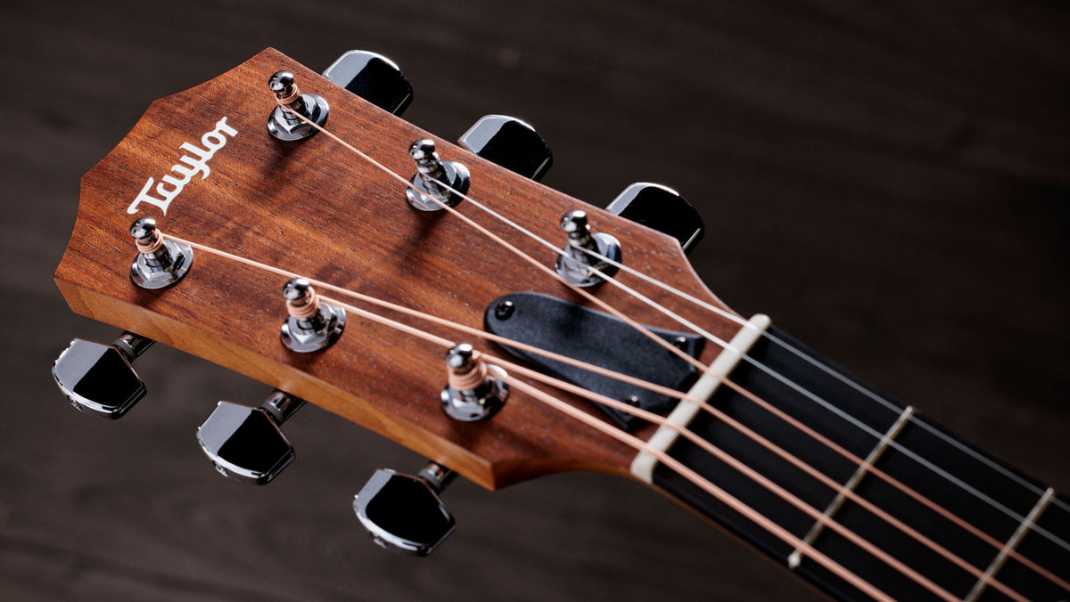 Academy 10e Natural Dreadnought