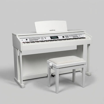 Pack DP3 White
